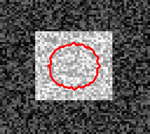 Image square1
